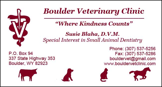 Boulder Vet Clinic