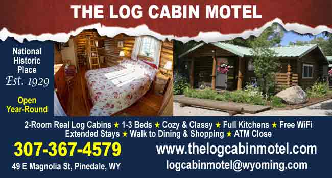 Log Cabin Motel