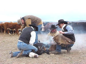 A Cowboy Branding
