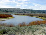 Green River