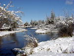 Pine Creek last week