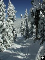 White Pine Snowmobile Trail. Photo by Pinedale Online.