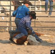 Securing Front Feet. Photo by Clint Gilchrist, Pinedale Online.