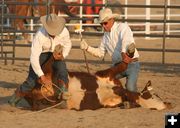 Securing Back Feet. Photo by Clint Gilchrist, Pinedale Online.