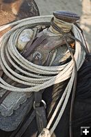Rope and saddle. Photo by Tara Bolgiano, Blushing Crow Photography.