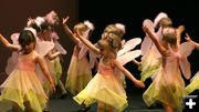 Ballet 3-5 yr olds. Photo by Pam McCulloch.