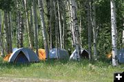 Fire Camp Tents. Photo by Dawn Ballou, Pinedale Online.
