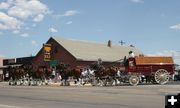 Clydesdales at the Silver Spur. Photo by Dawn Ballou, Pinedale Online.