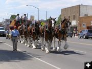 Clydesdales in Pinedale. Photo by Sue Sommers.