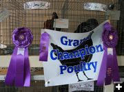 Poultry Champion. Photo by Pinedale Online.