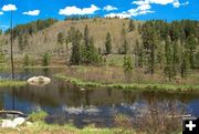 Beaver Pond. Photo by Pinedale Online.