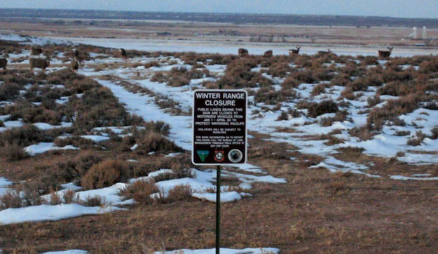 Winter Range Closure. Photo by Bureau of Land Management.