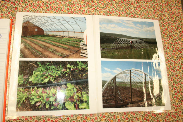 Greenhouses. Photo by Dawn Ballou, Pinedale Online.