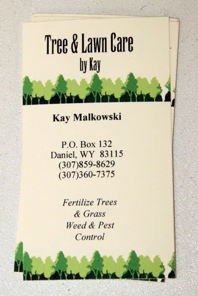 Tree Lawn Care by Kay. Photo by Dawn Ballou, Pinedale Online.