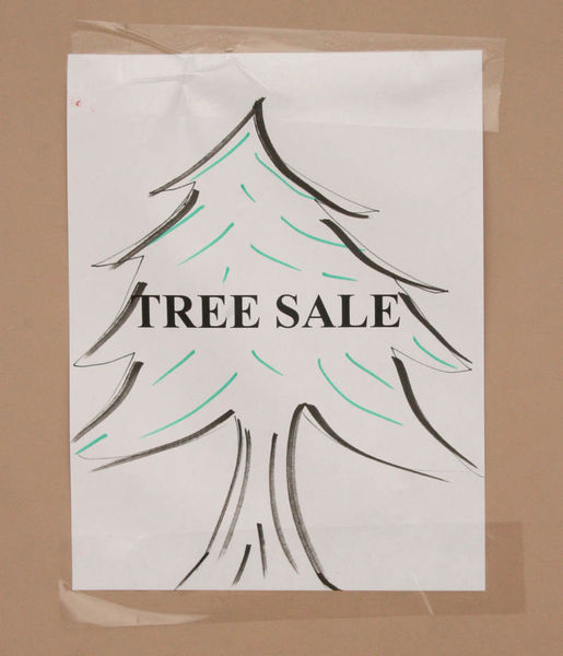 Tree Sale. Photo by Dawn Ballou, Pinedale Online.