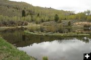 Stocked Fishing Pond. Photo by Dawn Ballou, Pinedale Online.