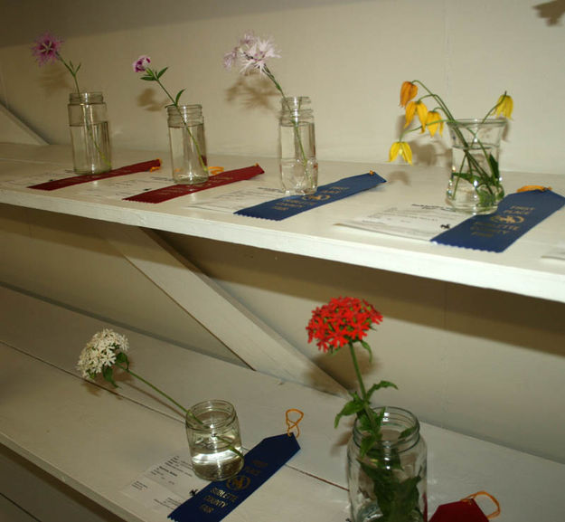 Floriculture. Photo by Dawn Ballou, Pinedale Online.