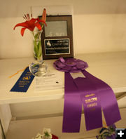 Outstanding Floriculture - Cut Flowers. Photo by Dawn Ballou, Pinedale Online.