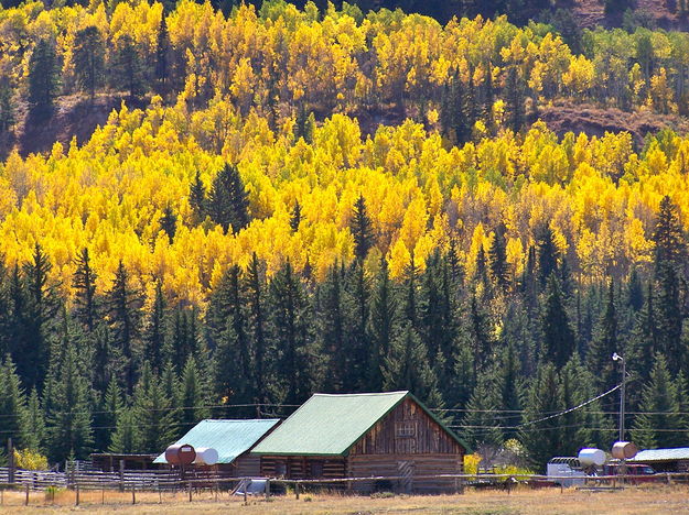 Merna Fall Colors. Photo by Scott Almdale.