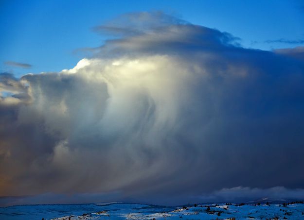 Snow Squall. Photo by Dave Bell.