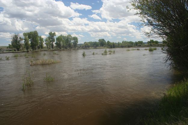 New Fork River. Photo by Clint Gilchrist, Pinedale Online!.