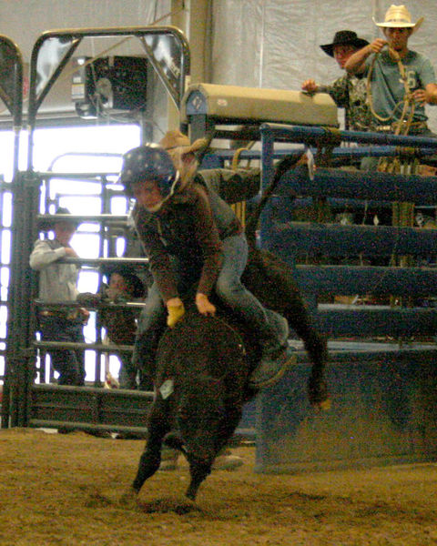 Riley Dauwen - Calf Riding. Photo by Dawn Ballou, Pinedale Online.