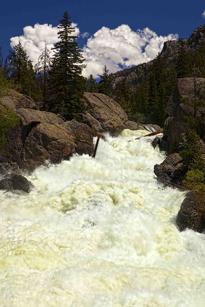 Wild, Wild River. Photo by Dave Bell.