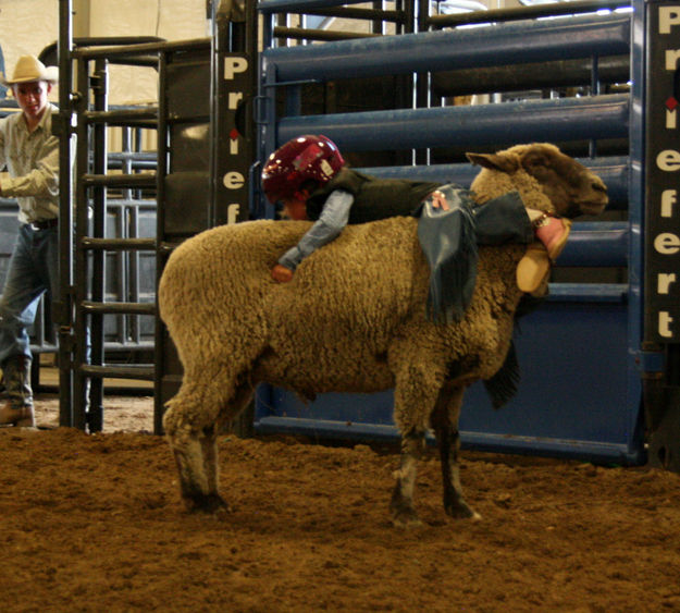 Mutton Busting. Photo by Dawn Ballou, Pinedale Online.