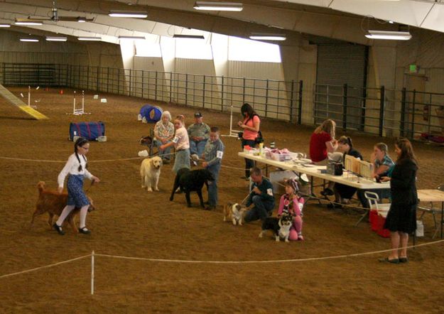 4-H Dog Show. Photo by Dawn Ballou, Pinedale Online.