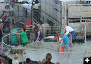 Greased Pig contest. Photo by Dawn Ballou, Pinedale Online.