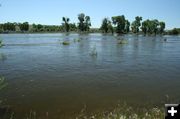 New Fork River - Lander Trail Crossing. Photo by Dawn Ballou, Pinedale Online.