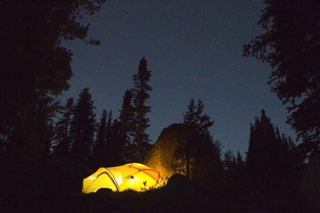 Retreat from the mosquitoes. Photo by Dave Bell.