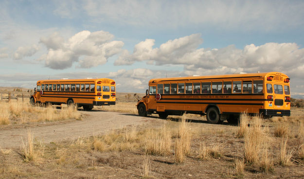 School busses. Photo by Dawn Ballou, Pinedale Online.