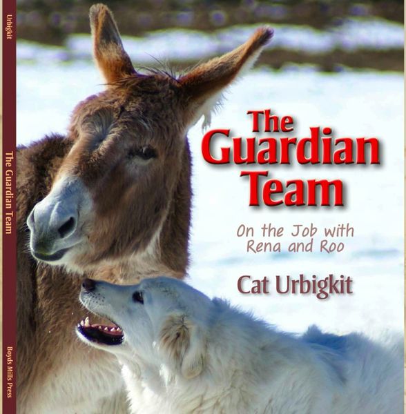 The Guardian Team. Photo by Cat Urbigit.