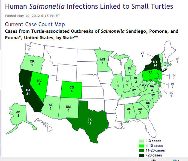 Turtle Salmonella outbreak map. Photo by CDC.