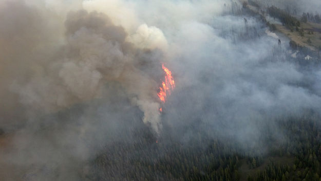 Aerial view. Photo by US Forest Service.