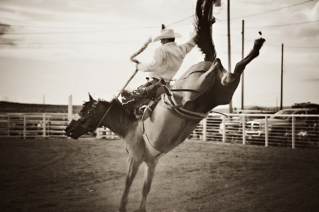 Saddle bronc. Photo by Tara Bolgiano, Blushing Crow Photography.
