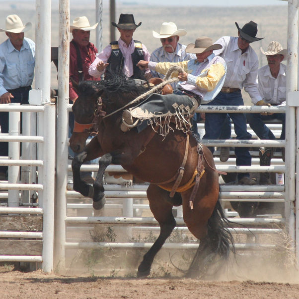 Saddle Bronc. Photo by Pinedale Online.