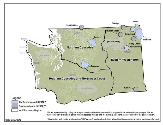 Wolf packs map. Photo by Washington Department of Fish & WIldlife .