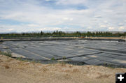 Anaerobic pond. Photo by Dawn Ballou, Pinedale Online.