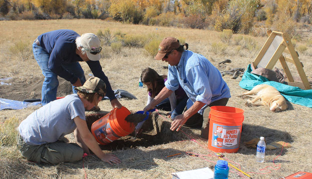 Digging squares. Photo by Dawn Ballou, Pinedale Online.