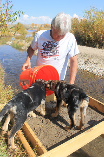 Helpers. Photo by Dawn Ballou, Pinedale Online.