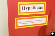 Hypothesis. Photo by Dawn Ballou, Pinedale Online.