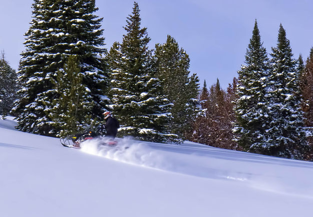Snowmobiling fun. Photo by Dave Bell.