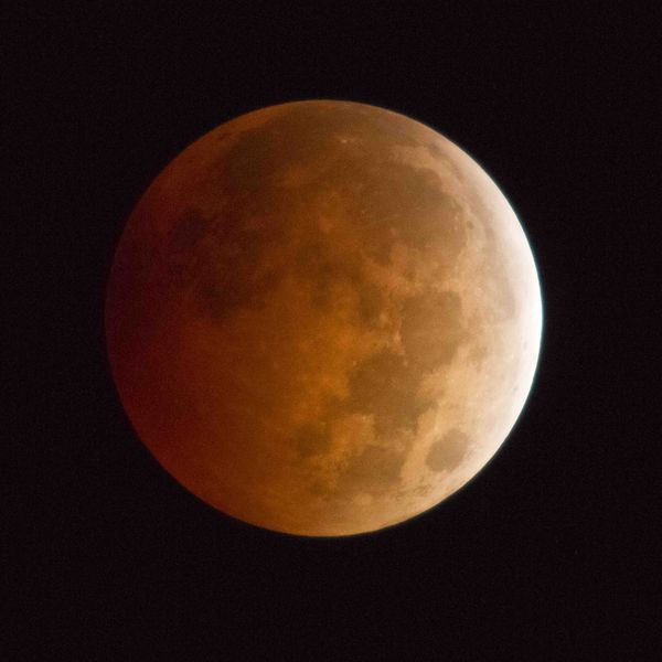 Blood Moon. Photo by Dave Bell.