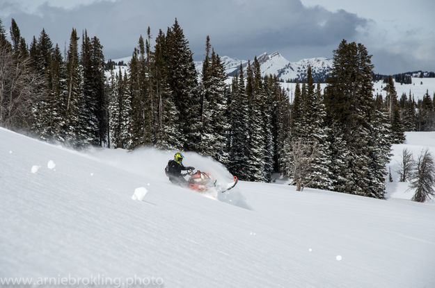 Playing in the powder. Photo by Arnold Brokling.