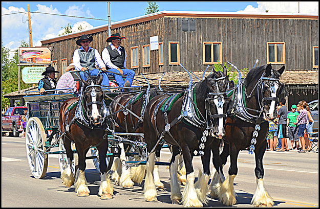Draught Horses. Photo by Pinedale Online.