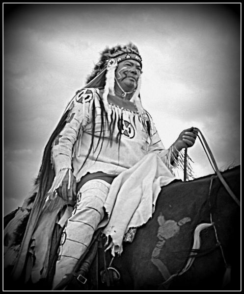 Chief. Photo by Terry Allen.