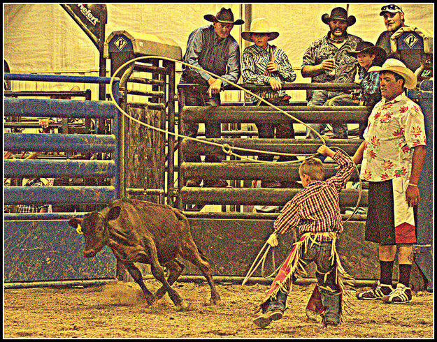 Calf Roping. Photo by Terry Allen.