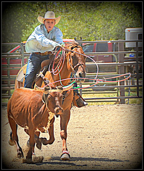 A Roping. Photo by Terry Allen.